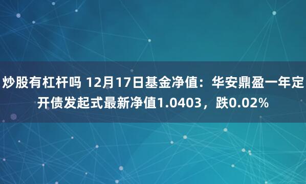 炒股有杠杆吗 12月17日基金净值：华安鼎盈一年定开债发起式最新净值1.0403，跌0.02%