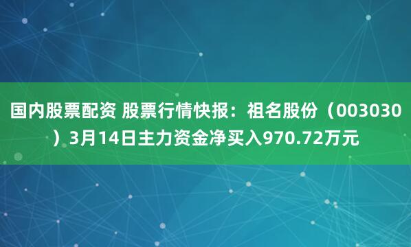 国内股票配资 股票行情快报：祖名股份（003030）3月14日主力资金净买入970.72万元