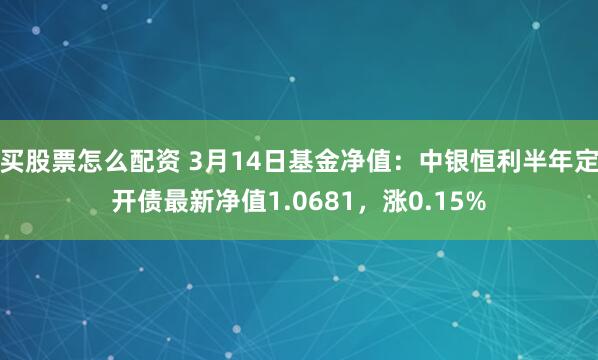 买股票怎么配资 3月14日基金净值：中银恒利半年定开债最新净值1.0681，涨0.15%