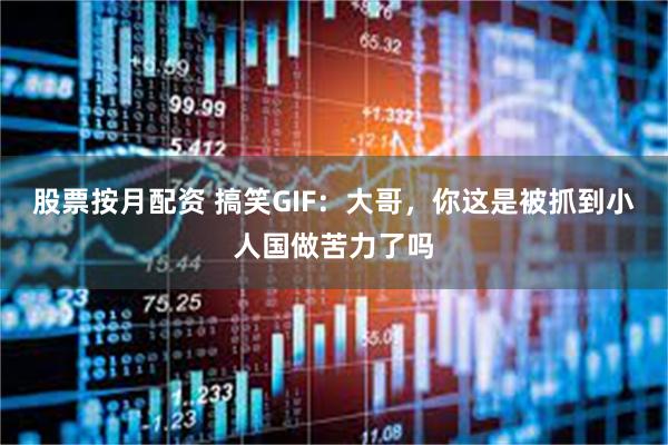 股票按月配资 搞笑GIF：大哥，你这是被抓到小人国做苦力了吗