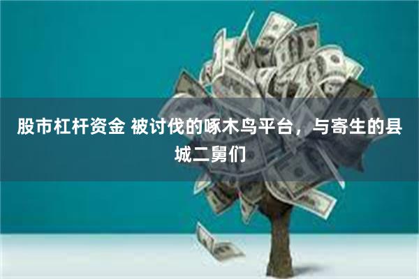 股市杠杆资金 被讨伐的啄木鸟平台，与寄生的县城二舅们