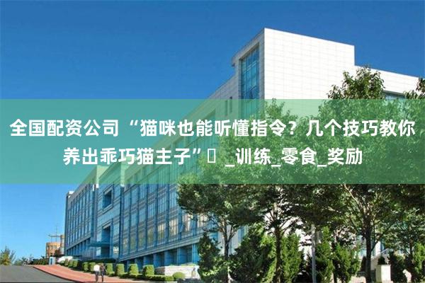 全国配资公司 “猫咪也能听懂指令？几个技巧教你养出乖巧猫主子”​_训练_零食_奖励