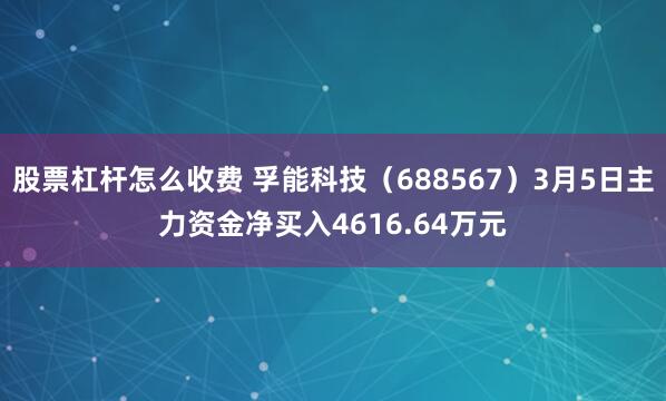 股票杠杆怎么收费 孚能科技（688567）3月5日主力资金净买入4616.64万元