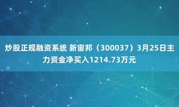 炒股正规融资系统 新宙邦（300037）3月25日主力资金净买入1214.73万元