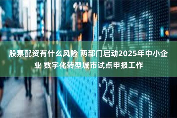 股票配资有什么风险 两部门启动2025年中小企业 数字化转型城市试点申报工作