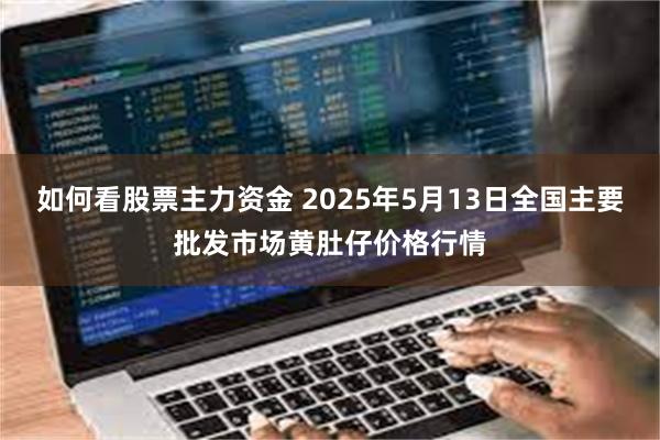 如何看股票主力资金 2025年5月13日全国主要批发市场黄肚仔价格行情