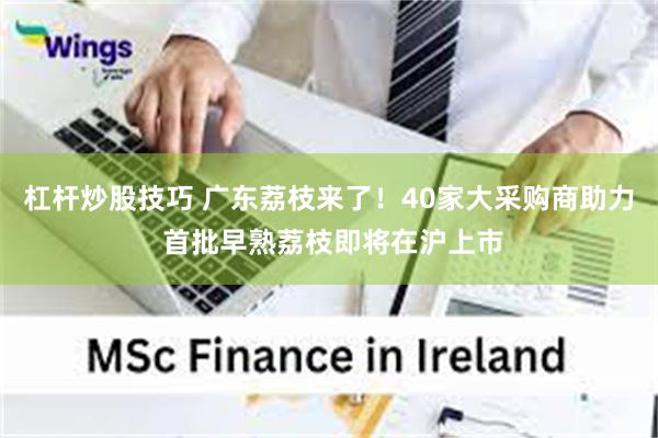杠杆炒股技巧 广东荔枝来了！40家大采购商助力 首批早熟荔枝即将在沪上市