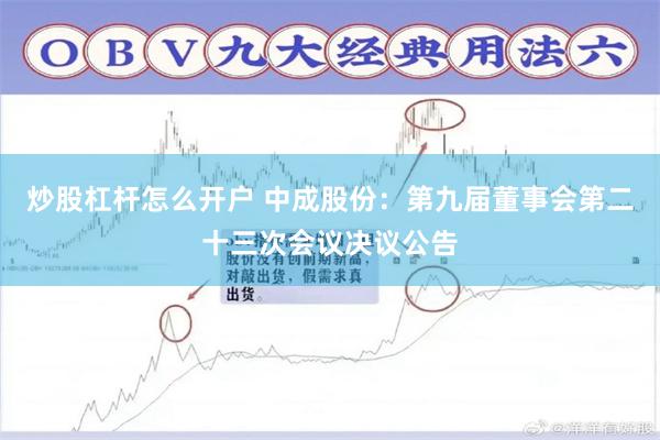炒股杠杆怎么开户 中成股份：第九届董事会第二十三次会议决议公告
