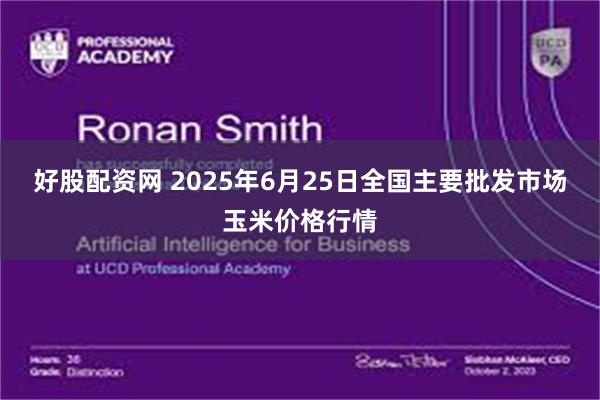 好股配资网 2025年6月25日全国主要批发市场玉米价格行情