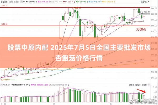股票中原内配 2025年7月5日全国主要批发市场杏鲍菇价格行情