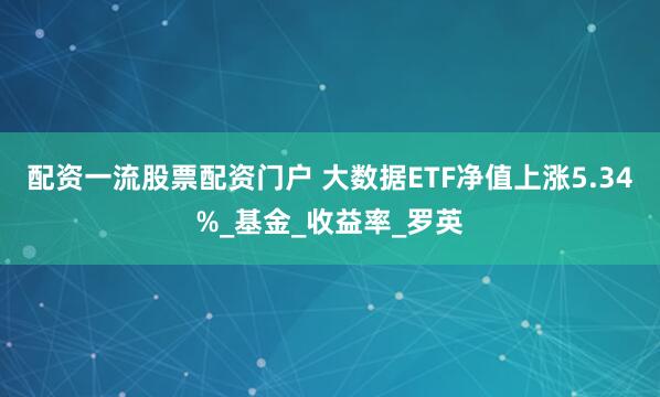 配资一流股票配资门户 大数据ETF净值上涨5.34%_基金_收益率_罗英