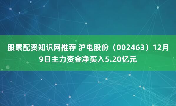 股票配资知识网推荐 沪电股份（002463）12月9日主力资金净买入5.20亿元
