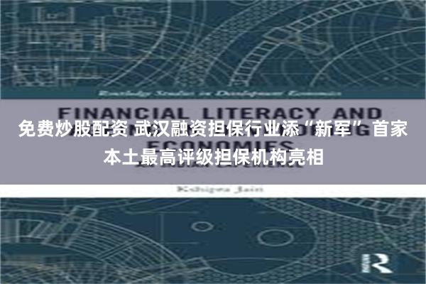 免费炒股配资 武汉融资担保行业添“新军” 首家本土最高评级担保机构亮相