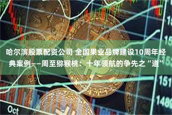 哈尔滨股票配资公司 全国果业品牌建设10周年经典案例——周至猕猴桃:十年领航的争先之“道”