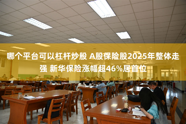 哪个平台可以杠杆炒股 A股保险股2025年整体走强 新华保险涨幅超46%居首位
