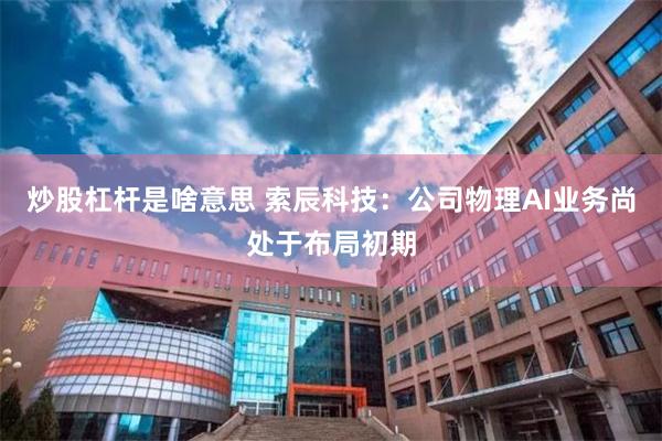 炒股杠杆是啥意思 索辰科技：公司物理AI业务尚处于布局初期