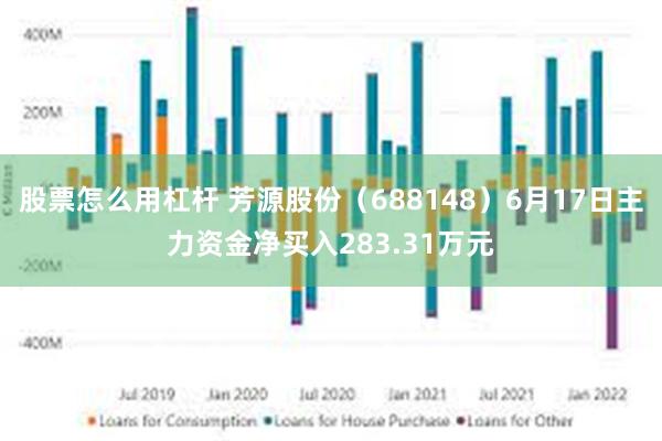 股票怎么用杠杆 芳源股份（688148）6月17日主力资金净买入283.31万元