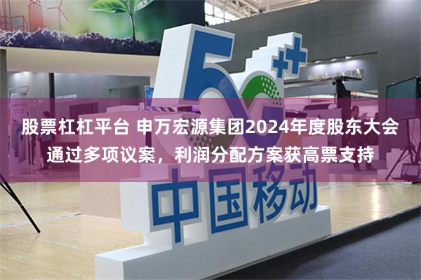 股票杠杠平台 申万宏源集团2024年度股东大会通过多项议案，利润分配方案获高票支持