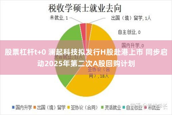 股票杠杆t+0 澜起科技拟发行H股赴港上市 同步启动2025年第二次A股回购计划