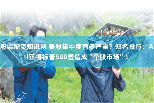股票配资知识网 美股集中度有多严重？知名投行：AI正将标普500塑造成“个股市场”！
