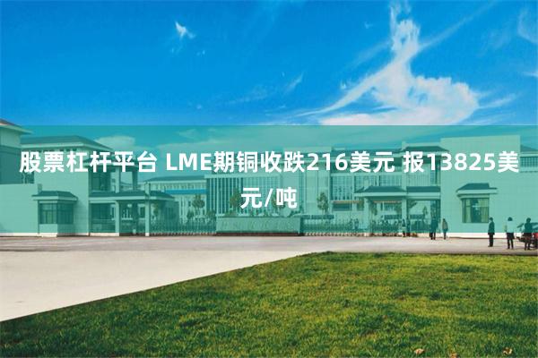 股票杠杆平台 LME期铜收跌216美元 报13825美元/吨