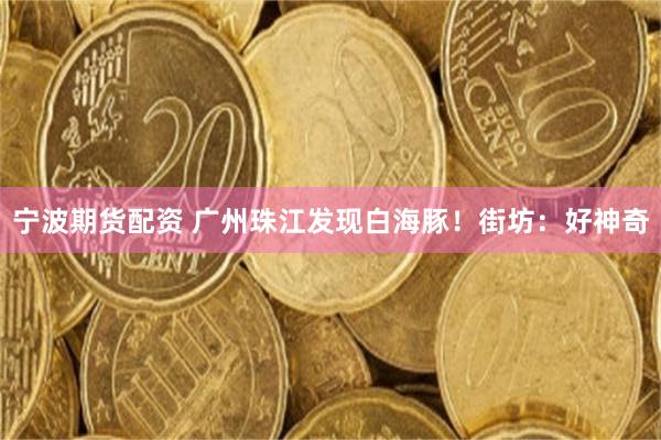 宁波期货配资 广州珠江发现白海豚！街坊：好神奇