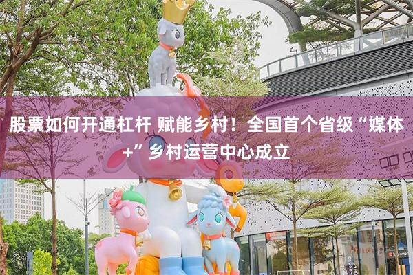 股票如何开通杠杆 赋能乡村！全国首个省级“媒体+”乡村运营中心成立