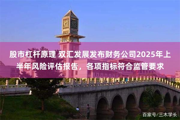 股市杠杆原理 双汇发展发布财务公司2025年上半年风险评估报告，各项指标符合监管要求