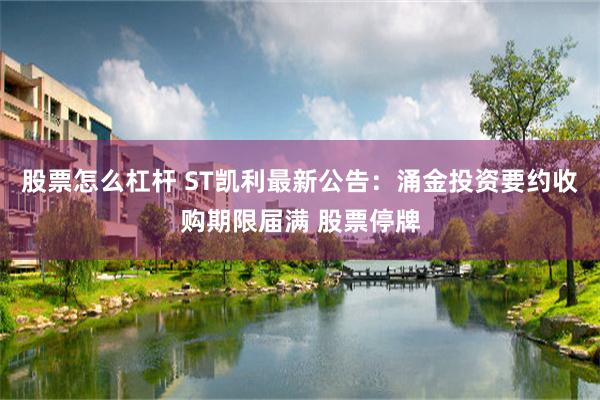 股票怎么杠杆 ST凯利最新公告：涌金投资要约收购期限届满 股票停牌