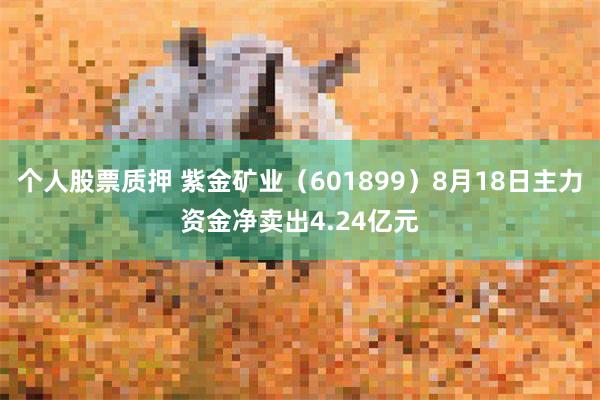 个人股票质押 紫金矿业（601899）8月18日主力资金净卖出4.24亿元