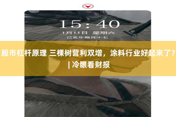 股市杠杆原理 三棵树营利双增，涂料行业好起来了？ | 冷眼看财报