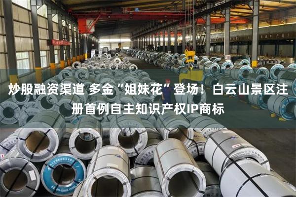 炒股融资渠道 多金“姐妹花”登场！白云山景区注册首例自主知识产权IP商标