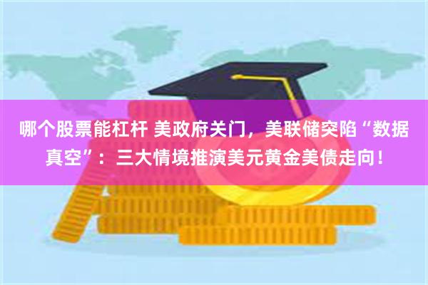 哪个股票能杠杆 美政府关门，美联储突陷“数据真空”：三大情境推演美元黄金美债走向！