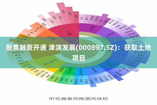 股票融资开通 津滨发展(000897.SZ)：获取土地项目