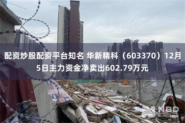 配资炒股配资平台知名 华新精科（603370）12月5日主力资金净卖出602.79万元
