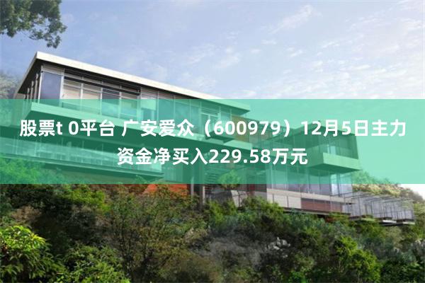 股票t 0平台 广安爱众（600979）12月5日主力资金净买入229.58万元