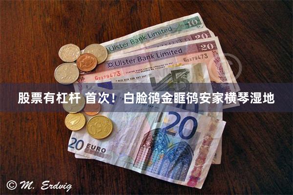 股票有杠杆 首次！白脸鸻金眶鸻安家横琴湿地
