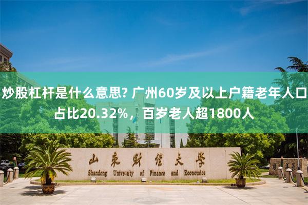 炒股杠杆是什么意思? 广州60岁及以上户籍老年人口占比20.32%，百岁老人超1800人