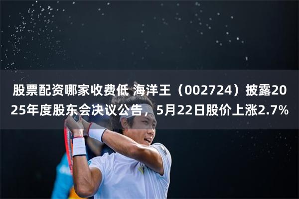 股票配资哪家收费低 海洋王（002724）披露2025年度股东会决议公告，5月22日股价上涨2.7%
