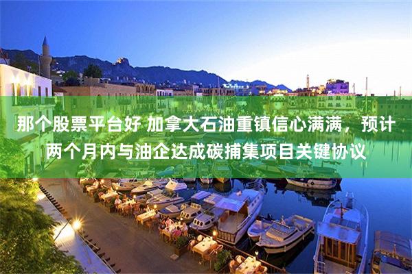 那个股票平台好 加拿大石油重镇信心满满，预计两个月内与油企达成碳捕集项目关键协议
