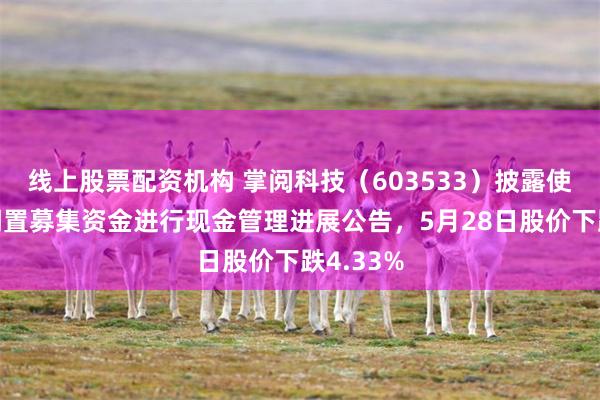 线上股票配资机构 掌阅科技（603533）披露使用部分闲置募集资金进行现金管理进展公告，5月28日股价下跌4.33%