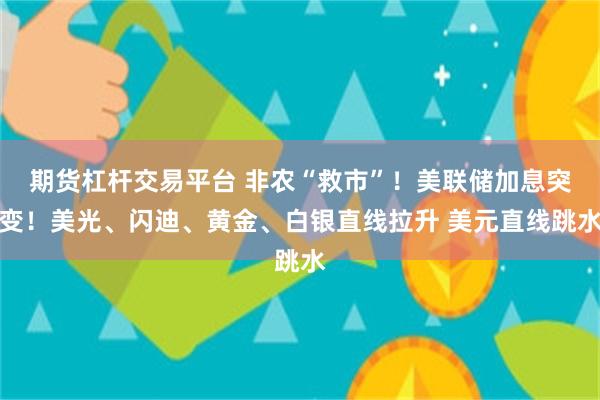 期货杠杆交易平台 非农“救市”！美联储加息突变！美光、闪迪、黄金、白银直线拉升 美元直线跳水