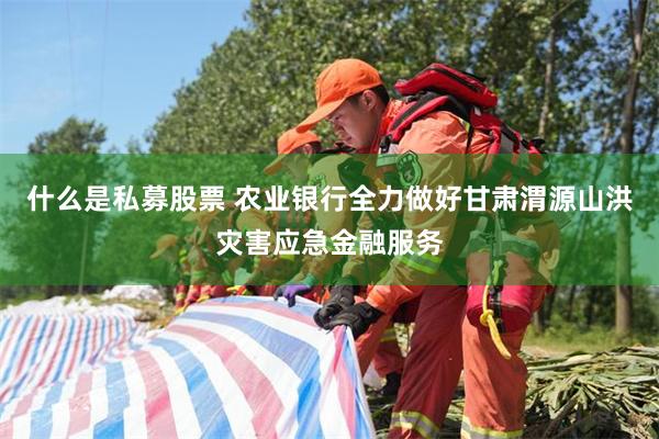 什么是私募股票 农业银行全力做好甘肃渭源山洪灾害应急金融服务