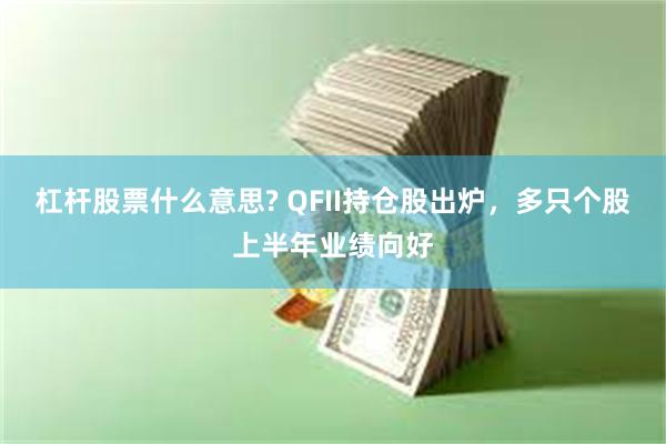 杠杆股票什么意思? QFII持仓股出炉,多只个股上半年业绩向好