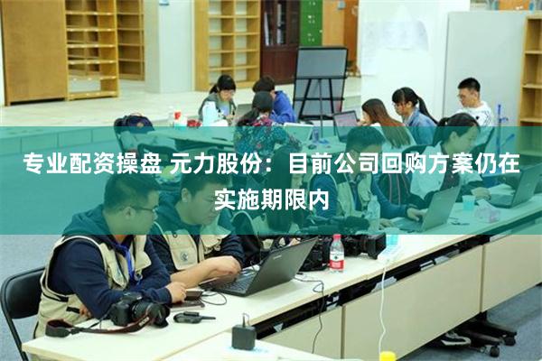 专业配资操盘 元力股份：目前公司回购方案仍在实施期限内