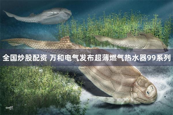 全国炒股配资 万和电气发布超薄燃气热水器99系列
