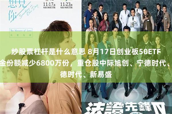 炒股票杠杆是什么意思 8月17日创业板50ETF华安基金份额减少6800万份,重仓股中际旭创、宁德时代、新易盛
