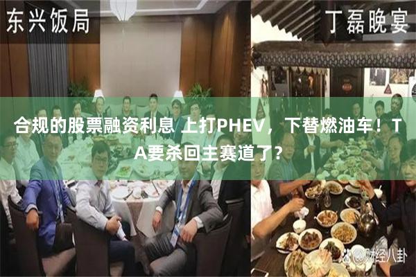合规的股票融资利息 上打PHEV，下替燃油车！TA要杀回主赛道了？