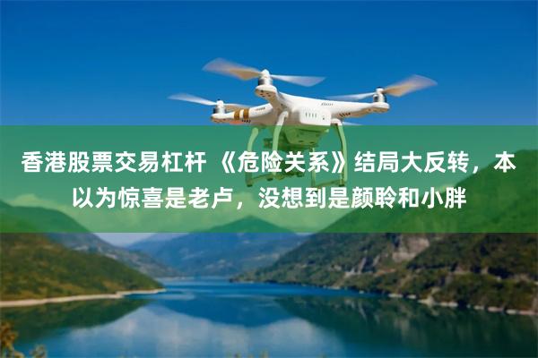 香港股票交易杠杆 《危险关系》结局大反转，本以为惊喜是老卢，没想到是颜聆和小胖