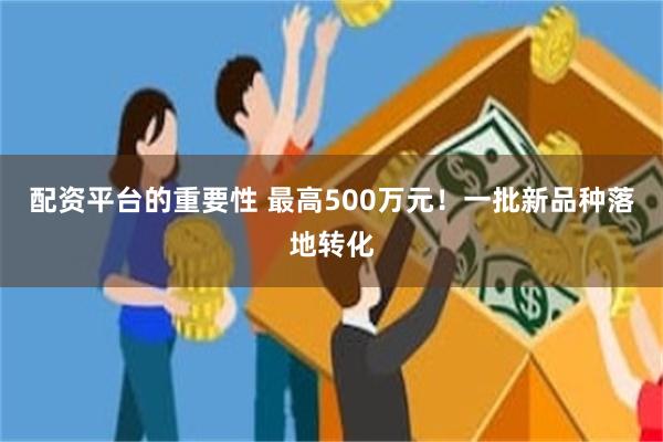 配资平台的重要性 最高500万元！一批新品种落地转化